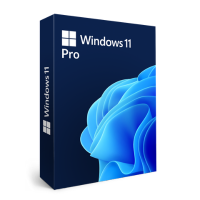 Microsoft Windows 11 Pro Workstation Key – Licenza a Vita